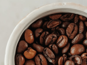 რობუსტა